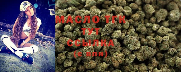 индика Россошь