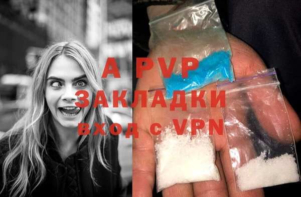Альфа ПВП Беломорск