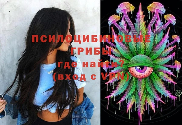 дживик Белоозёрский
