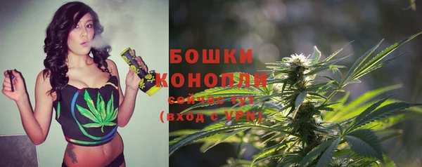 Альфа ПВП Беломорск